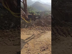 Hydrauliczny typ WuYing Grabber Excavator, Pięciorzębny Grabber Drewna, Garnitur do Ekskawatora